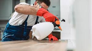 Best Real Estate Pest Inspections  in St Leon, IN